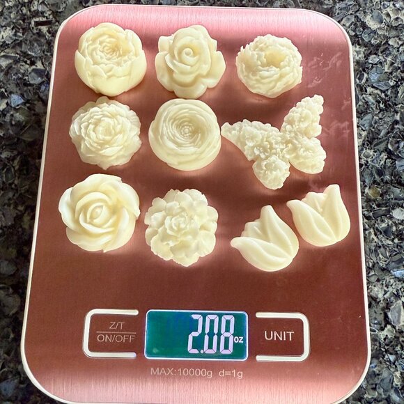 NEW WAX MELTS 2.08oz Bath and Body Works Candle Wax Melts - CHAMPAGNE TOAST! - Picture 2 of 4